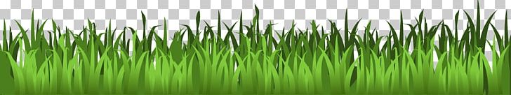 Lawn Computer Icons PNG, Clipart, Animation, Artificial Turf, Chrysopogon Zizanioides, Computer Icons, Computer Wallpaper Free PNG Download