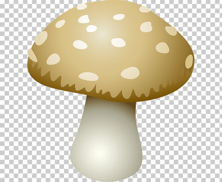 Mushroom Shiitake PNG, Clipart, Desktop Wallpaper, Download, Drawing, Fungus, Lamp Free PNG Download
