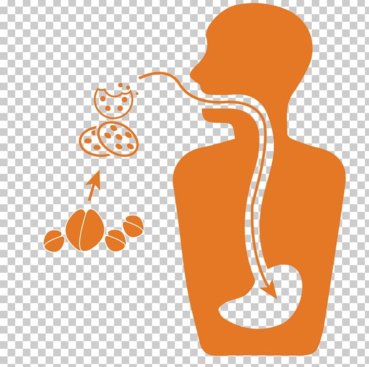 Organic Cotton Peptic Ulcer Disease Indigestion Eating Diet PNG, Clipart, Burning Chest Pain, Cotton, Diet, Digestion, Duodenum Free PNG Download