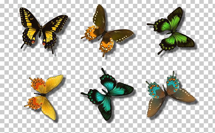 Brush-footed Butterflies Insect Яндекс.Фотки Butterflies And Moths Article PNG, Clipart, Animal, Animals, Ari, Arthropod, Article Free PNG Download