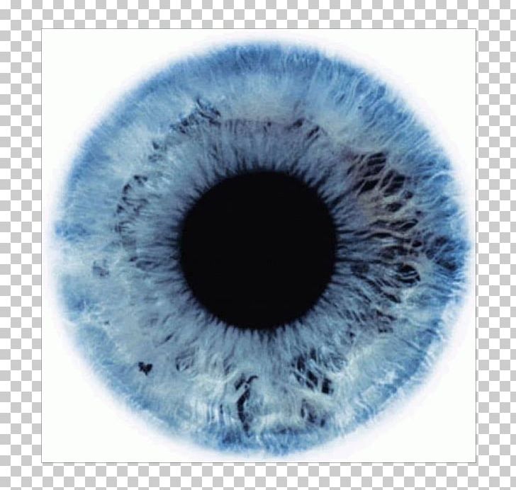 Human Eye Darkness Light Black Eye PNG, Clipart, Black, Black Eye, Blue, Circle, Closeup Free PNG Download
