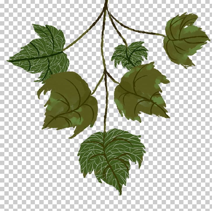 Leaf Texture Mapping Plant Stem Tree PNG, Clipart, Alpha Channel, Alpha Compositing, Apricot, Branch, Fruit Nut Free PNG Download