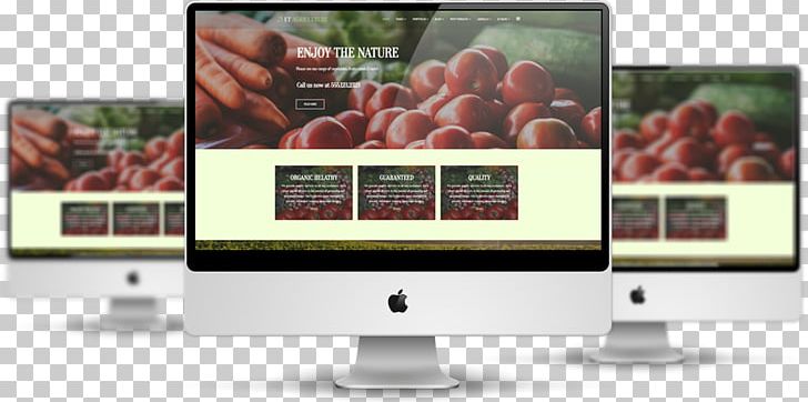 Responsive Web Design Web Template System Multimedia PNG, Clipart, Display Advertising, Display Device, Form, Information, Internet Free PNG Download