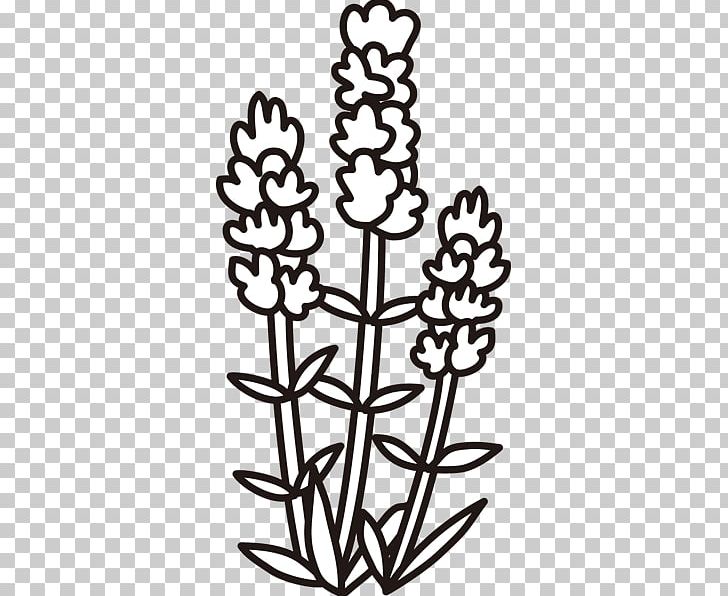 Black And White Monochrome Painting Line Art Lavender PNG, Clipart, Black And White, Branch, Flora, Flower, Flowering Plant Free PNG Download