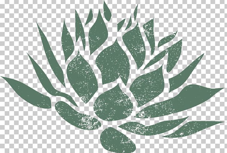 Century Plant Leaf Plant Stem Oaxaca PNG, Clipart, Agave, Branch, Century Plant, Computer Icons, Flora Free PNG Download