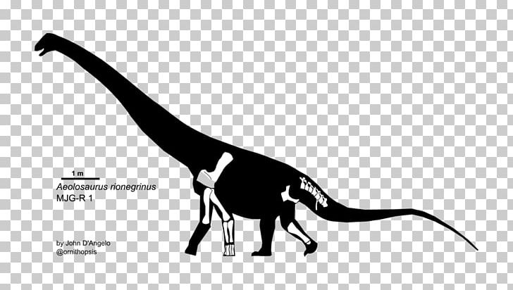 Aeolosaurus Homo Sapiens Titanosaurus Ornithopsis Dinosaur PNG, Clipart, Aeolosaurus, Animal, Black And White, Dinosaur, Eotriceratops Free PNG Download