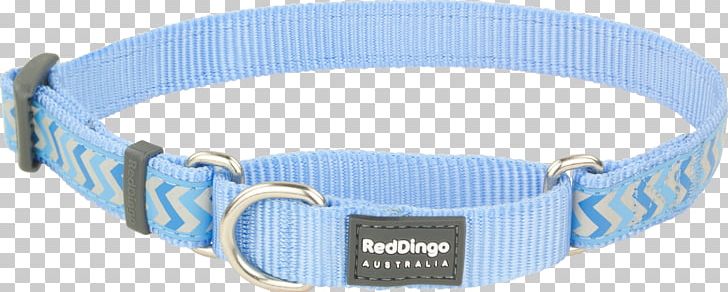 Dog Collar Dingo Blue Cat PNG, Clipart, Blue, Cat, Clothing Accessories, Collar, Dingo Free PNG Download