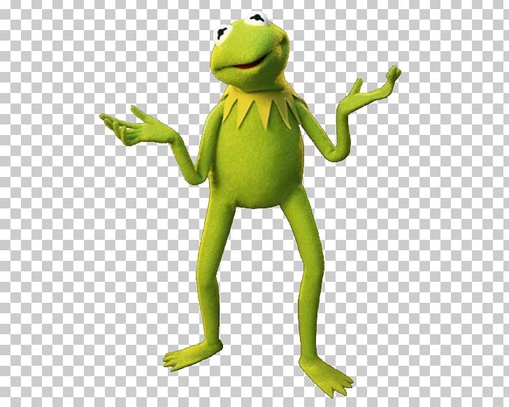 Kermit The Frog Joke Internet Meme Humour PNG, Clipart, Amphibian, Beaker, Frog, Humour, Internet Meme Free PNG Download