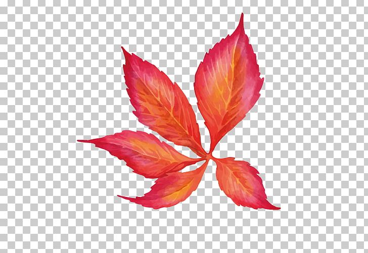 Watercolor Painting Euclidean PNG, Clipart, Autumn Leaf, Color, Download, Drawing, Euclidean Vector Free PNG Download