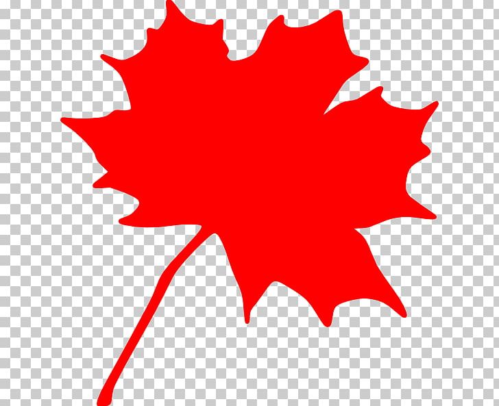 Canada Sugar Maple Maple Leaf PNG, Clipart, Area, Autumn, Autumn Leaf Color, Canada, Color Free PNG Download