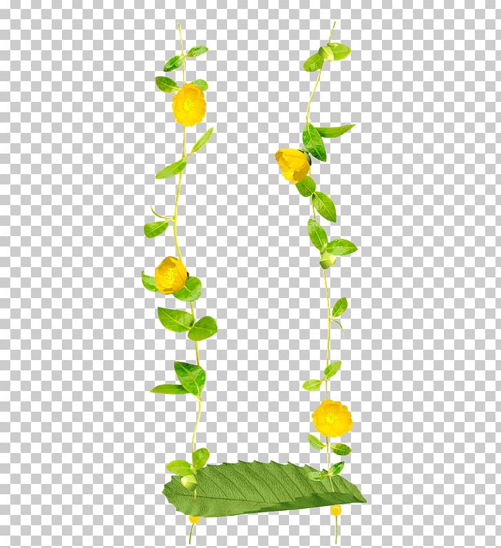 Floral Design PNG, Clipart, Branch, Computer Graphics, Digital Image, Download, Flora Free PNG Download