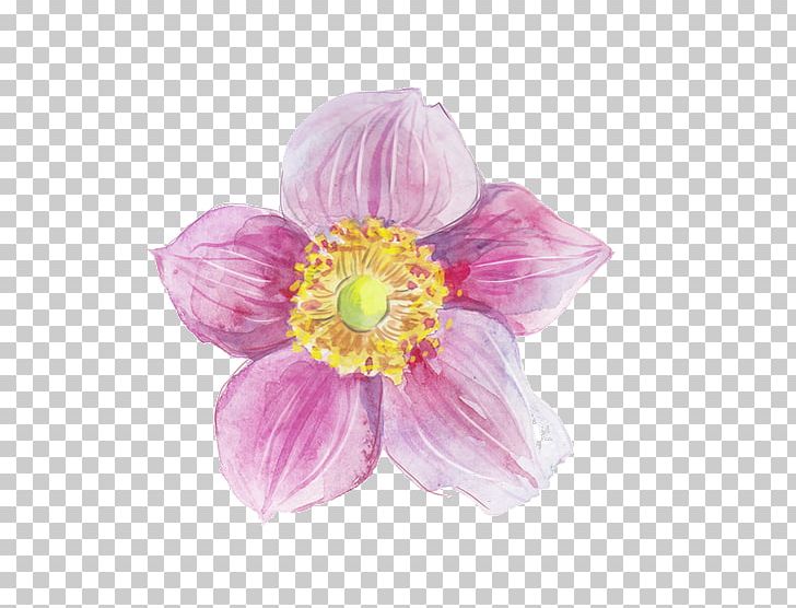 Flower Watercolor Painting Ink PNG, Clipart, Blossom, Color, Color Splash, Cut Flowers, Dahlia Free PNG Download