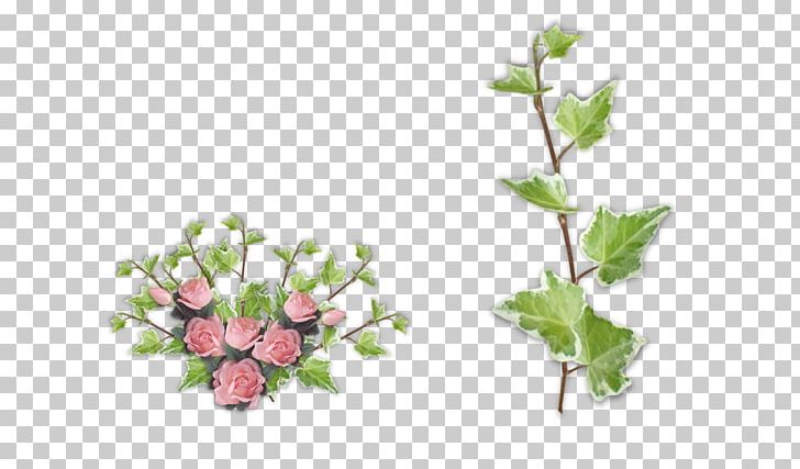 Flowerpot Plant Stem Leaf PNG, Clipart, Bigpoint Games, Branch, Cicekler, Death, Dort Free PNG Download