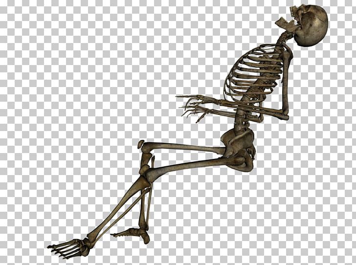 Human Skeleton Skull Death La Calavera Catrina PNG, Clipart, Anatomy, Art, Bone, Dead Comet, Death Free PNG Download