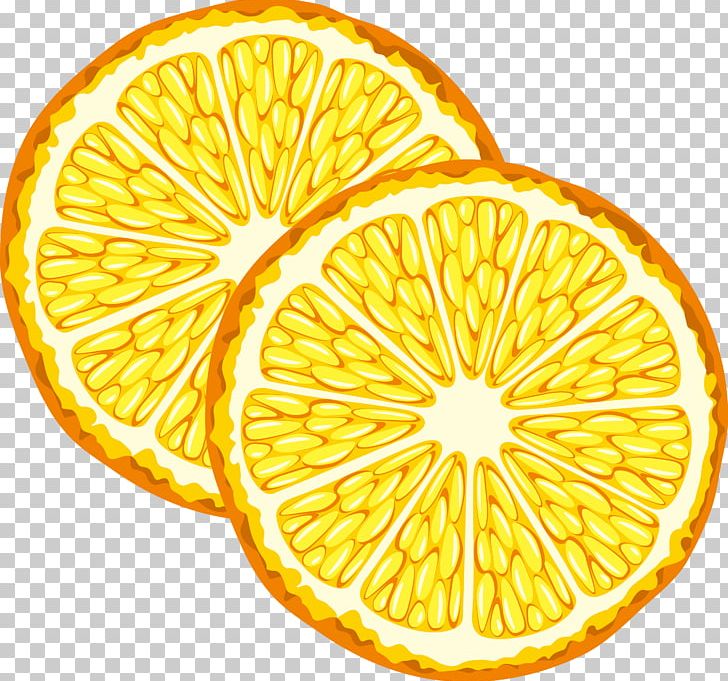 Orange Juice Fruit PNG, Clipart, Christmas Decoration, Citreae, Citrus, Decor, Decorative Free PNG Download