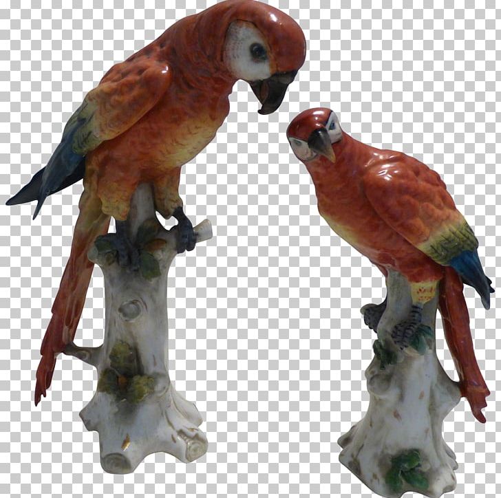 Parrot Bird Macaw Beak Pet PNG, Clipart, Animals, Beak, Bird, Fauna, Figurine Free PNG Download