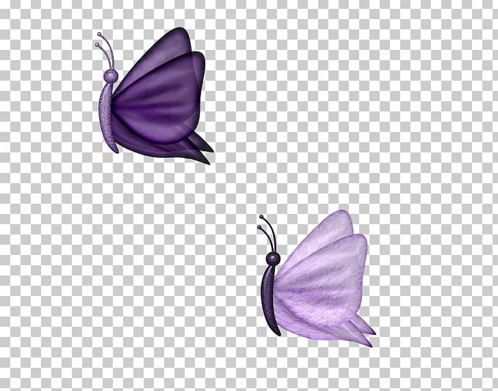 Butterfly Purple Moth PNG, Clipart, Blue Butterfly, Butterflies, Butterflies And Moths, Butterfly Group, Butterfly Wings Free PNG Download