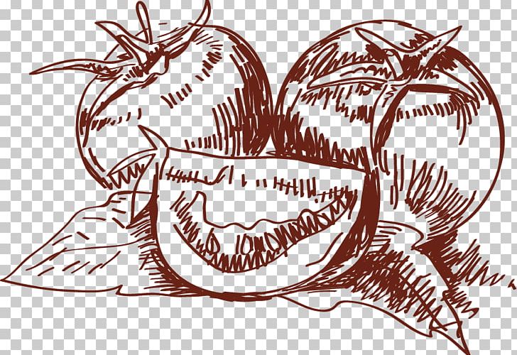 Cherry Tomato Vegetable Drawing PNG, Clipart, Arrow Sketch, Art, Artwork, Cherry Tomato, Drawing Free PNG Download