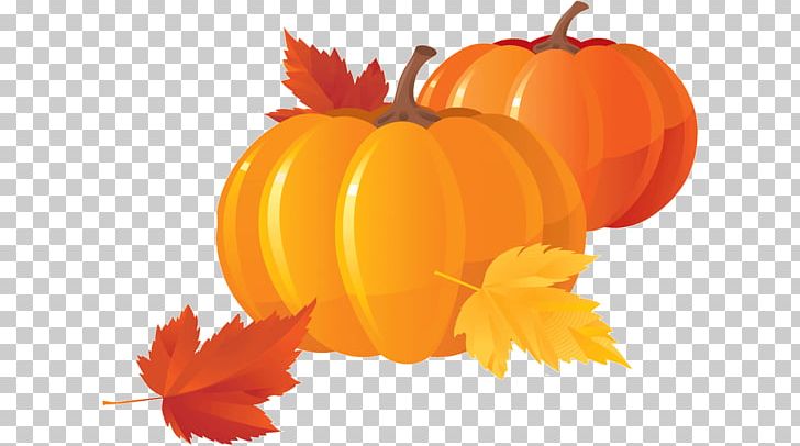 Jack-o'-lantern Fruit Calabaza Pumpkin ফলের তালিকা PNG, Clipart,  Free PNG Download