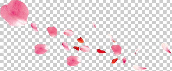 Petal Pink Gratis PNG, Clipart, Computer Wallpaper, Download, Encapsulated Postscript, Falling, Fall Leaves Free PNG Download