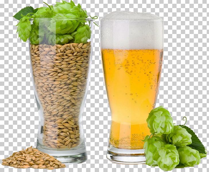 Beer Brewing Grains & Malts Beer Brewing Grains & Malts Common Hop Brewery PNG, Clipart, Ale, Barley, Barley Malt, Beer, Beer Brewing Grains Malts Free PNG Download