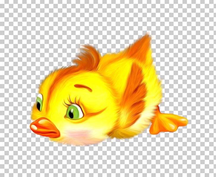 Bird Cat Duck Bee PNG, Clipart, Animal, Animals, Art, Beak, Carnivoran Free PNG Download