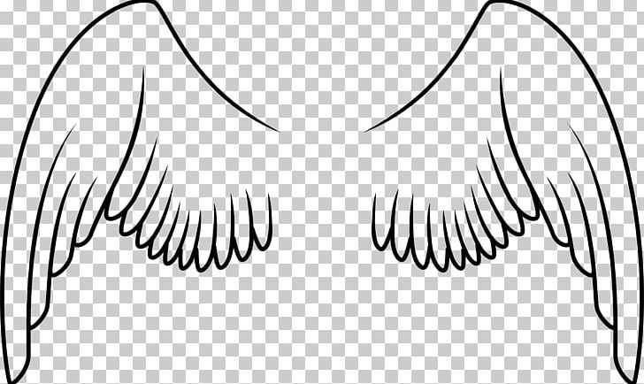 Bird Parrot Wing PNG, Clipart, Angel Wing, Angle, Animals, Arm, Artwork Free PNG Download