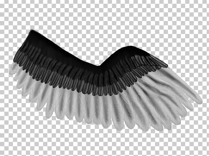 Brush Eyelash PNG, Clipart, Art, Black And White, Brush, Eyelash, Pegasus Free PNG Download