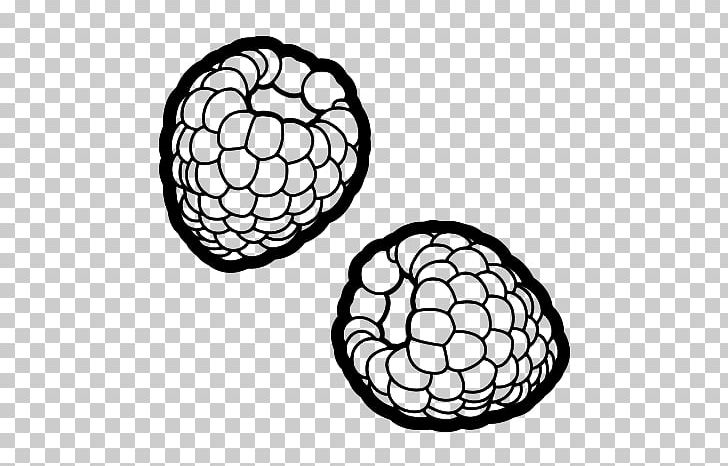 Drawing Painting Fruit Coloring Book PNG, Clipart, Area, Ball, Berry, Black And White, Child Free PNG Download