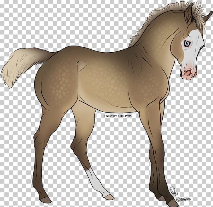 Foal Mustang Mare Stallion Rein PNG, Clipart, Bridle, Colt, Foal, Halter, Horse Free PNG Download