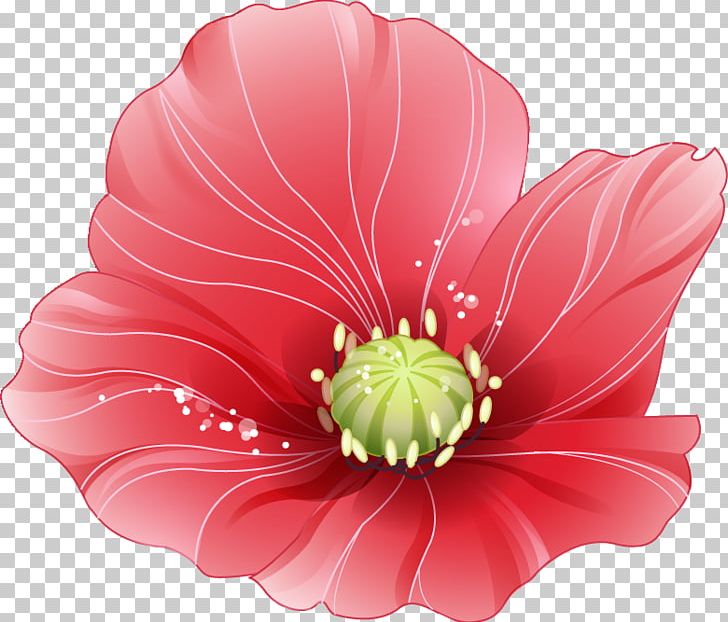 White Desktop 千図網 Petal PNG, Clipart, Bar Chart, Chinese Poker, Cut Flowers, Desktop Wallpaper, Flower Free PNG Download