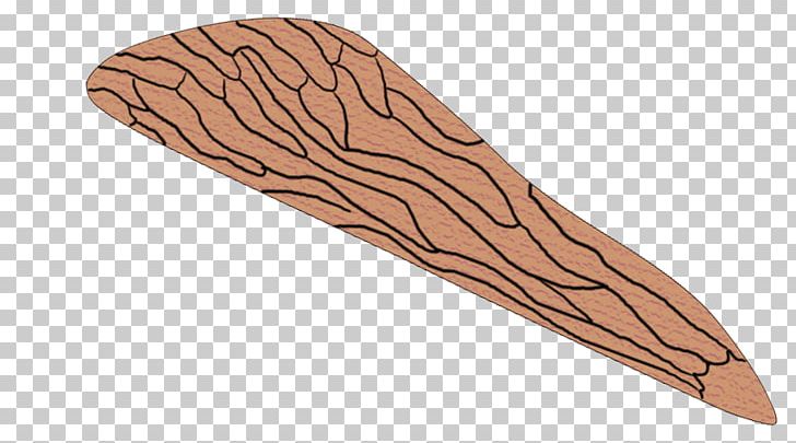 Wood /m/083vt PNG, Clipart, M083vt, Mosquito Coil, Wood Free PNG Download
