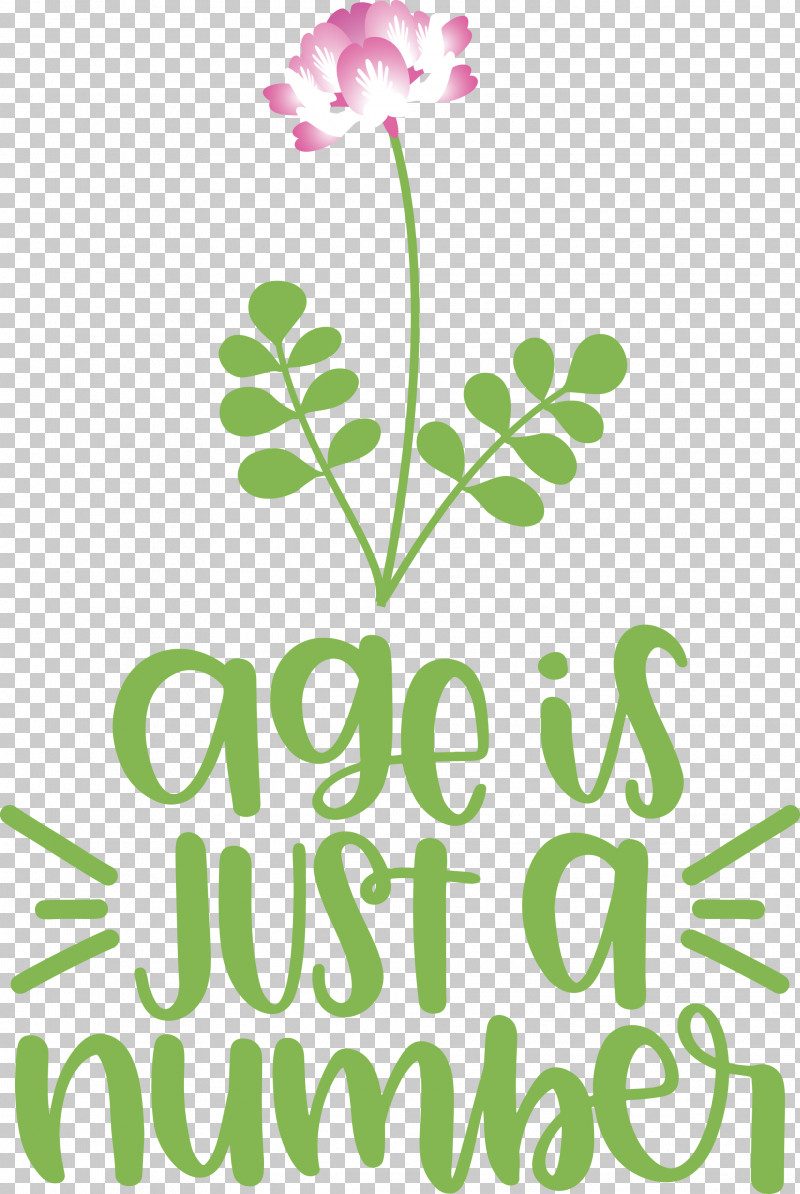 Birthday Age Is Just A Number PNG, Clipart, Birthday, Cut Flowers, Floral Design, Flower, Green Free PNG Download