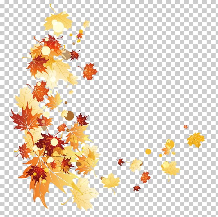 Autumn Leaf Color PNG, Clipart, Background Vector, Beautiful Vector, Branch, Color, Deciduous Free PNG Download