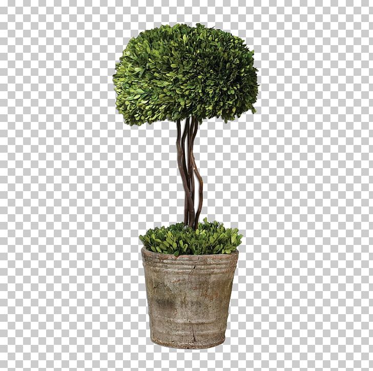 Box Tree Topiary Hedge Evergreen PNG, Clipart, Artificial Christmas Tree, Bonsai, Box, Evergreen, Flowerpot Free PNG Download