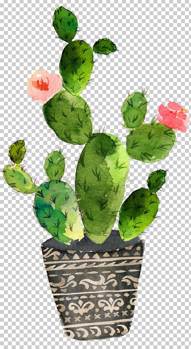 Cactaceae Watercolor Painting Art Drawing PNG, Clipart, Background Green, Barbary Fig, Cactus, Cactus Flowers, Canvas Free PNG Download