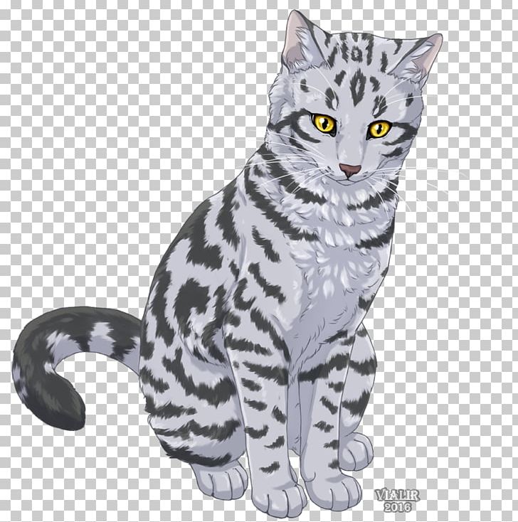 Cat Rising Storm Warriors Willowbreeze Erin Hunter PNG, Clipart, American Shorthair, American Wirehair, Animals, Big Cats, Carnivoran Free PNG Download