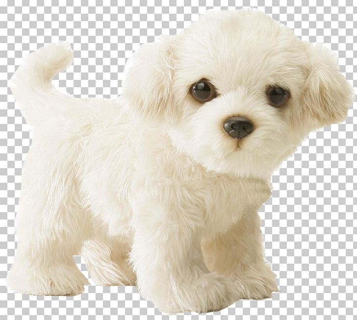 Maltese Dog Puppy Stuffed Animals & Cuddly Toys Infant PNG, Clipart, Animal, Animals, Aurora World Inc, Beanie Babies, Bich Free PNG Download