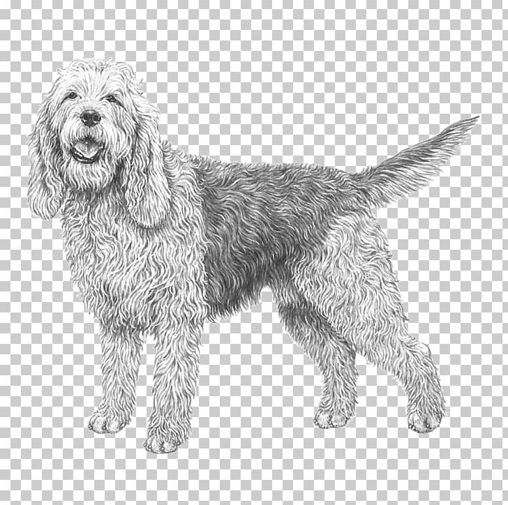 Wirehaired Pointing Griffon Otterhound Petit Basset Griffon Vendéen Briquet Griffon Vendéen Greater Swiss Mountain Dog PNG, Clipart, Bernese Mountain Dog, Bread Pan, Breed, Carnivoran, Cockapoo Free PNG Download