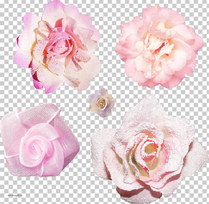 Garden Roses Centifolia Roses Floribunda PNG, Clipart, Artificial Flower, Floribunda, Flower, Flowering Plant, Garden Free PNG Download
