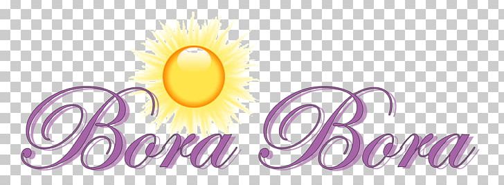 Logo Bora Bora PNG, Clipart, Bobby Pin, Bora Bora, Brand, Hair, Hairpin Free PNG Download