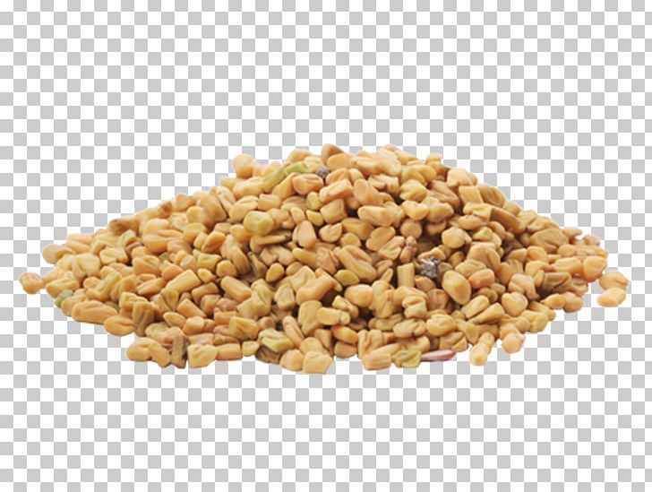 Organic Food Fenugreek Fennel Spice PNG, Clipart, Asi, Cereal, Cereal Germ, Commodity, Coriander Free PNG Download