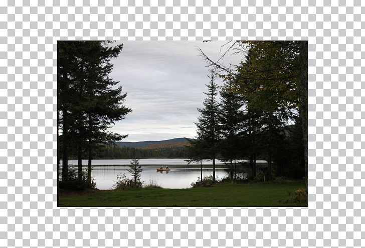 Property Loch Lake District Land Lot State Park PNG, Clipart, Bayou, Coleman, Cottage, Hampshire, Inlet Free PNG Download