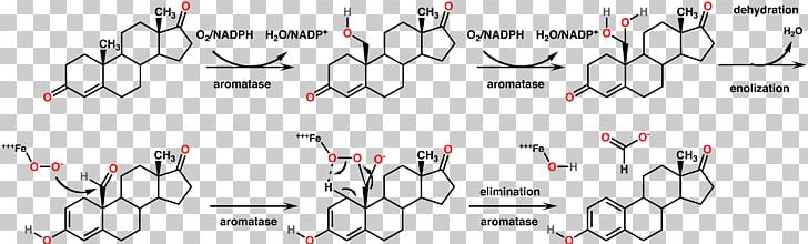 Aromatase Inhibitor Estrogen Chemical Reaction Enzyme PNG, Clipart, Angle, Area, Aromatase, Aromatase Inhibitor, Aromatization Free PNG Download