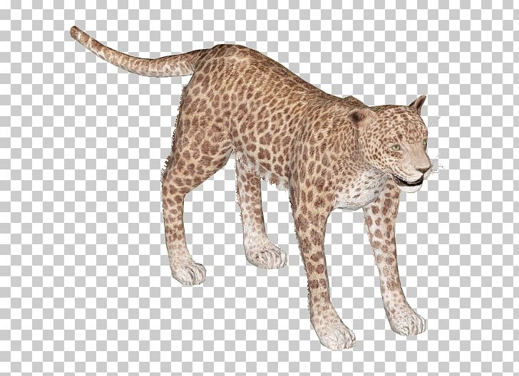 Felidae African Leopard Cheetah Lion Indian Leopard PNG, Clipart, African Wild Dog, Animal, Animal Figure, Animals, Big Cat Free PNG Download