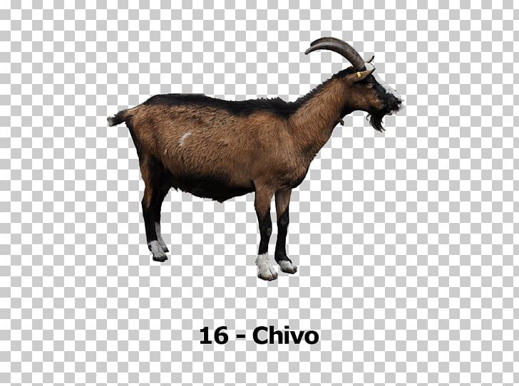 Rove Goat Goat Cheese PNG, Clipart, Ahuntz, Animals, Cattle Like Mammal, Clip Art, Computer Icons Free PNG Download