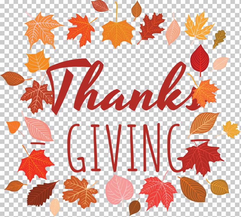 Thanks Giving Thanksgiving Harvest PNG, Clipart, Autumn, Floral Design, Fruit, Geometry, Harvest Free PNG Download