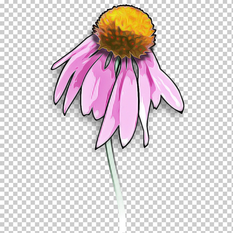 Drawing Flower PNG, Clipart, Drawing, Flower Free PNG Download