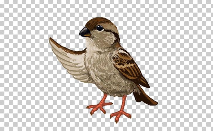 House Sparrow Koshkin Dom Verse Fairy Tale PNG, Clipart,  Free PNG Download