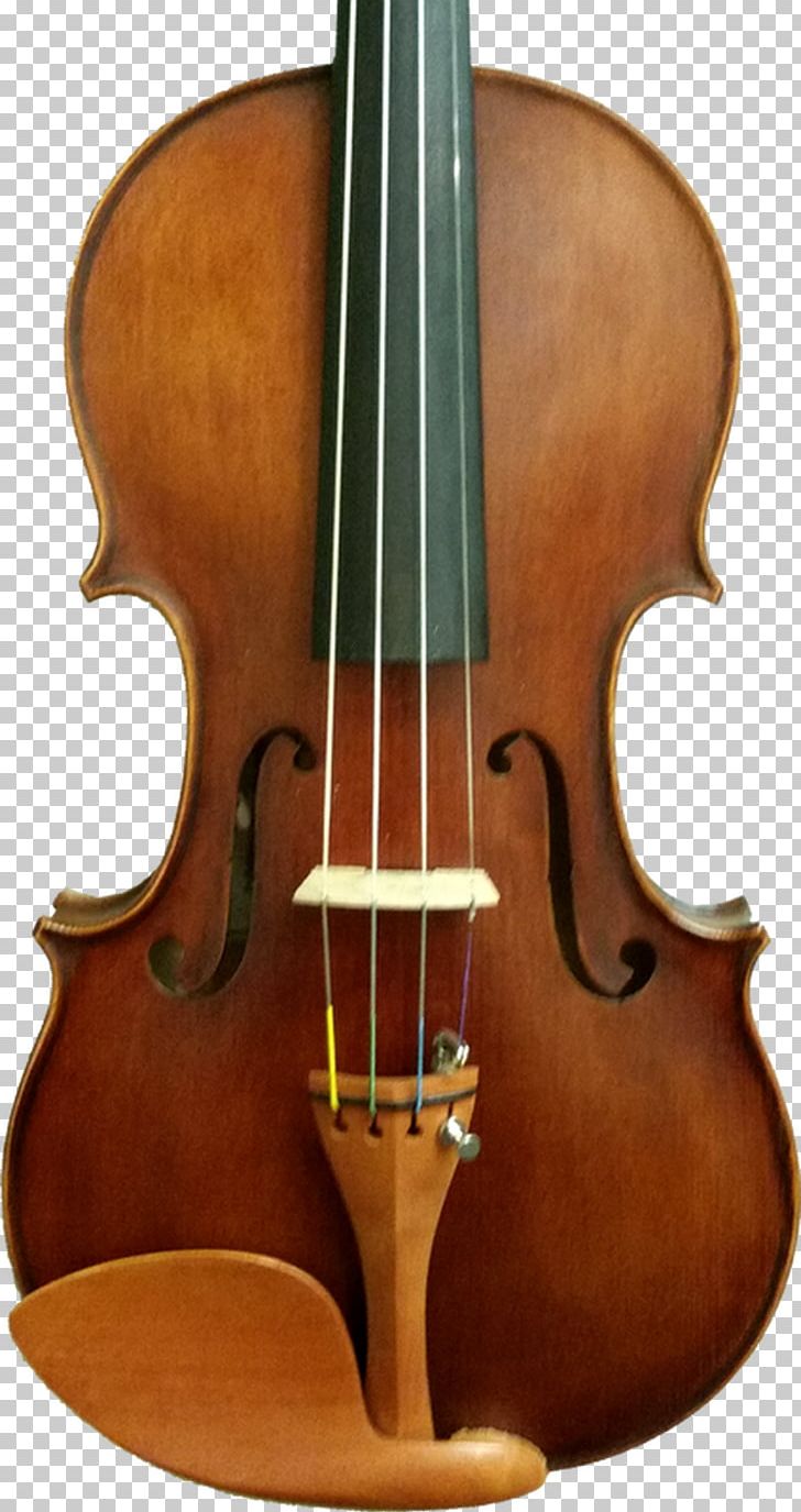 Bass Violin Double Bass Violone Viola PNG, Clipart, Bass Guitar, Bowed String Instrument, Carlos, Cellist, Cello Free PNG Download
